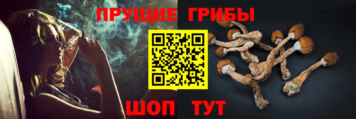 Псилоцибиновые грибы мухоморы  Псилоцибиновые грибы Psilocybe  Тавда  Вход с VPN 