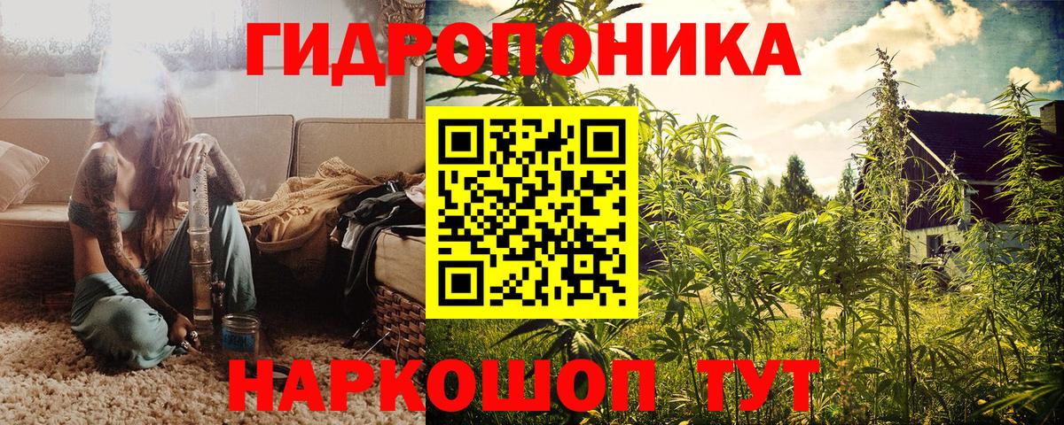 Тавда  Шишки марихуана тримм  Вход с VPN  Бошки марихуана MAZAR 